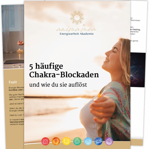 Blockaden-download